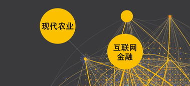 浅析互联网环境下的农业金融发展模式与互联网数据服务