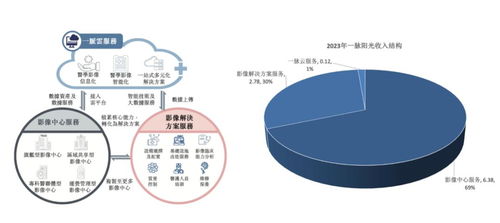 稀缺标的港股上市 医学影像第一股迈入高增长，互联网数据服务助力新篇章